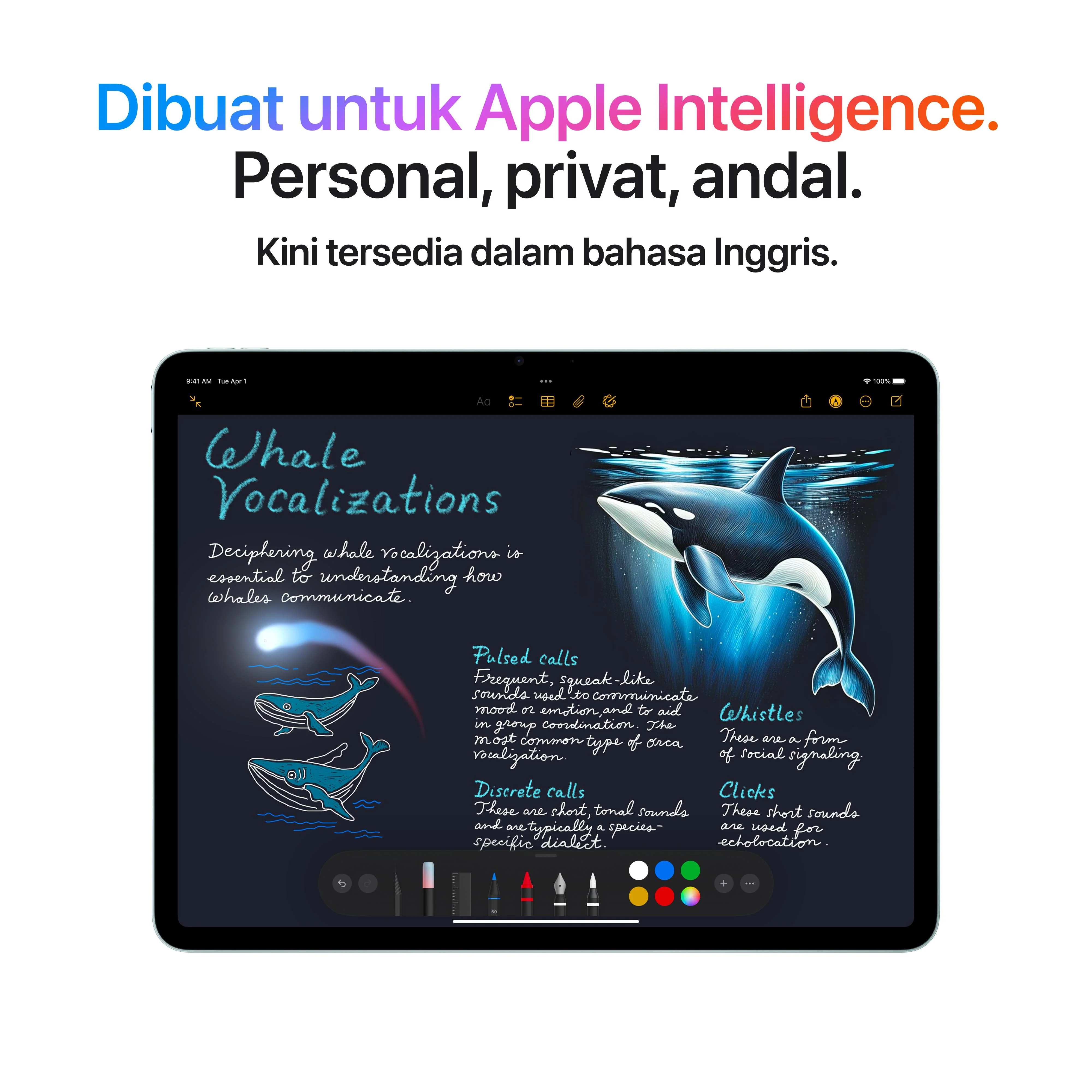13-inch iPad Air M3 - Image 5