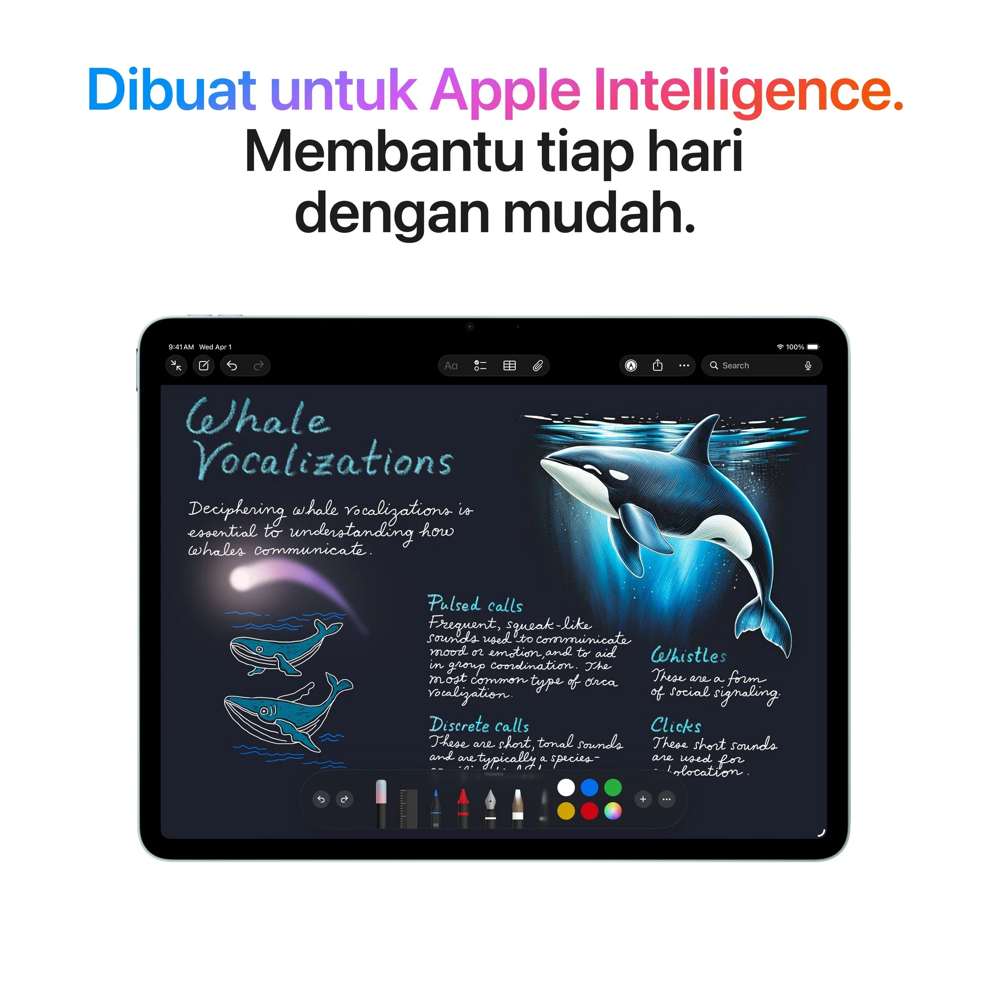 iPad Air 13-inch M4 Wi-Fi - Image 5