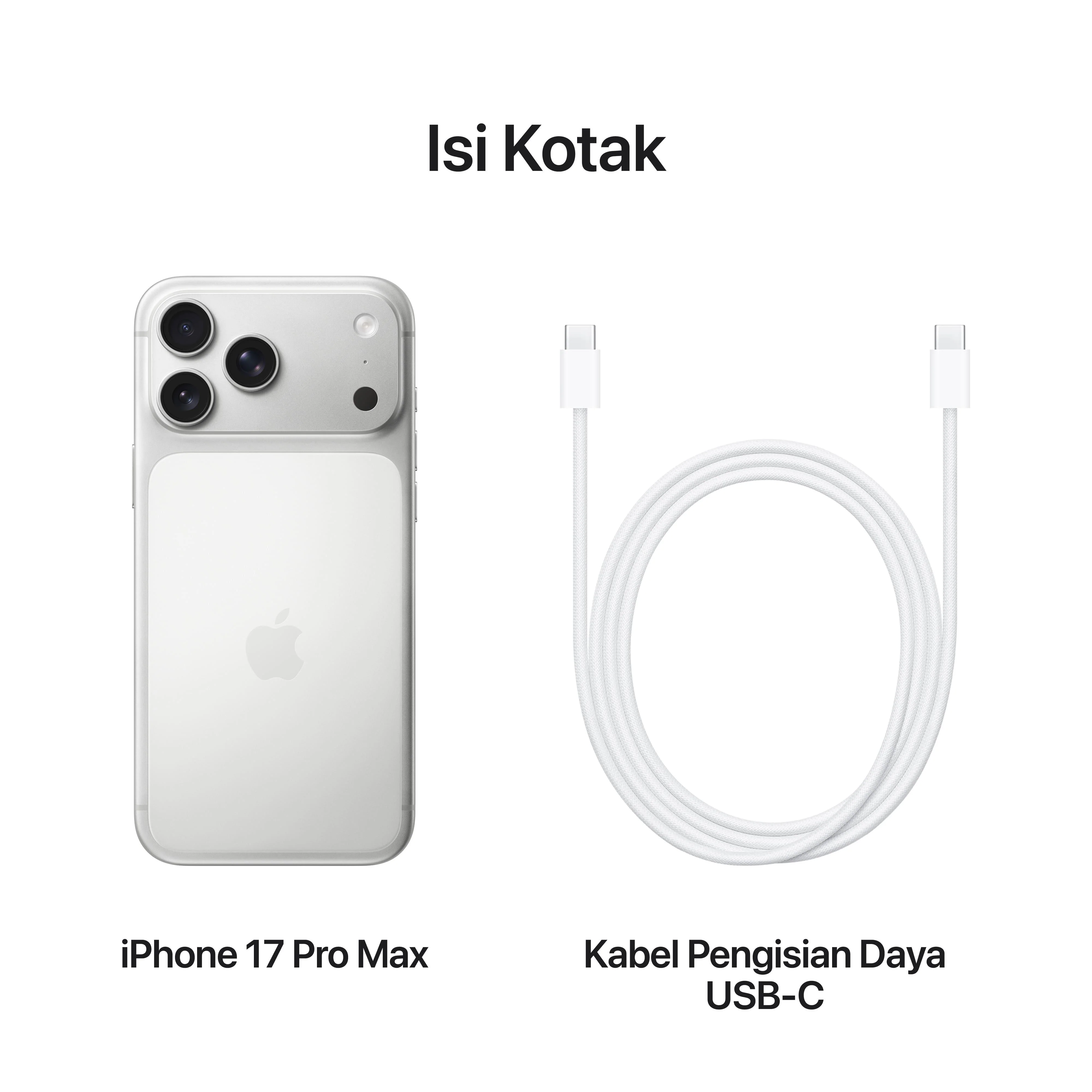 iPhone 17 Pro Max 256GB Silver - Image 8